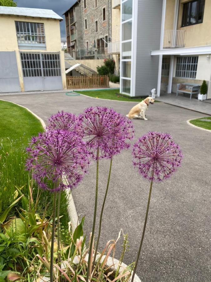 Chez Helene 3 Etoiles, Labellise Disabled Pmr,Pour 4 Personnes Chiens Bienvenus-Pet Friendly Leilighet Bourg-Madame Eksteriør bilde